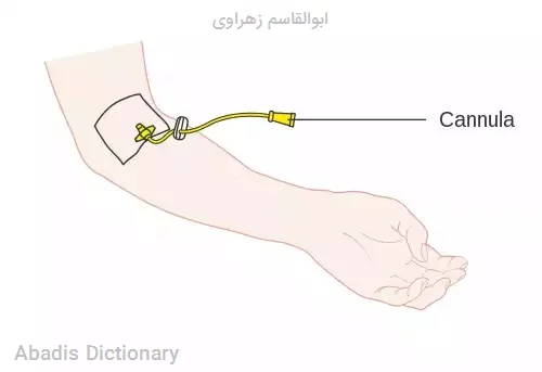 ابوالقاسم زهراوی